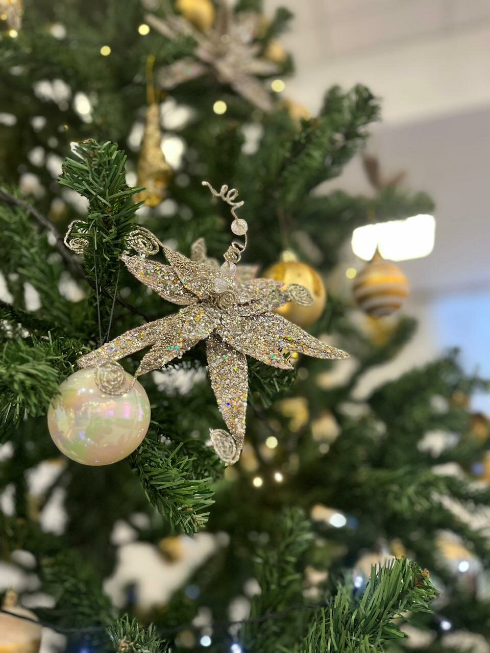 Гостиница Турист Санкт-Петербург-161