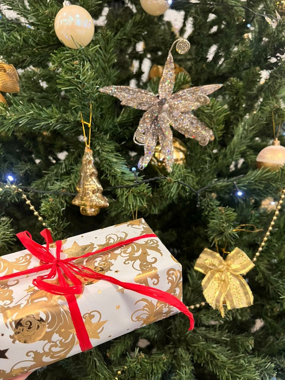 Гостиница Турист Санкт-Петербург-149