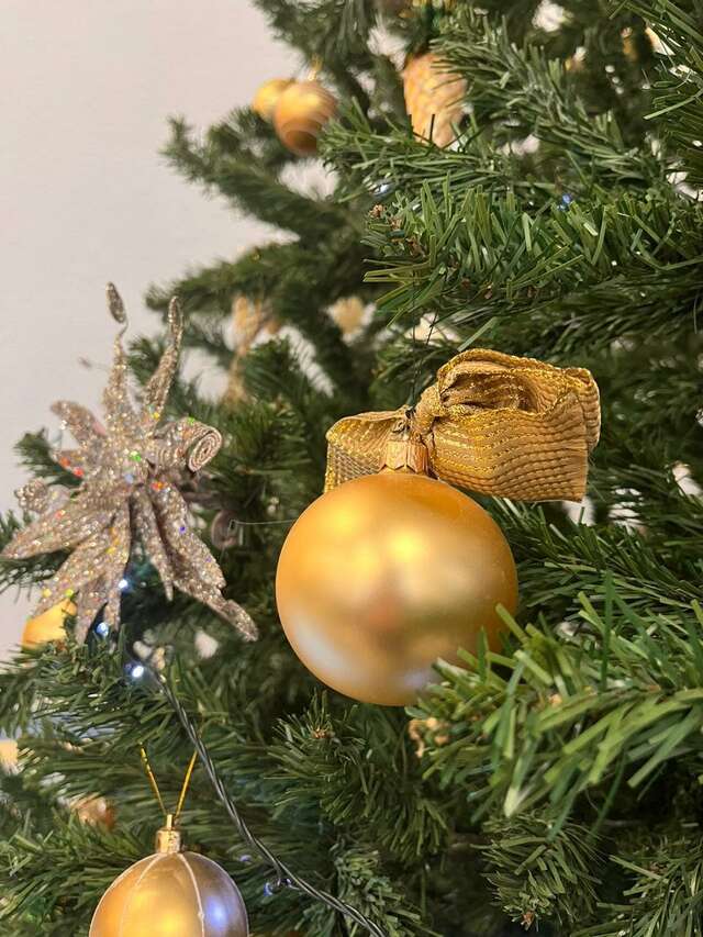 Гостиница Турист Санкт-Петербург-155